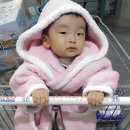 원길 Daum카페