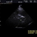 하임동물병원 이미지