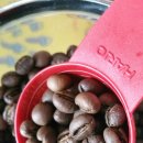 KOPI BALI PEABERRY COFFE 이미지