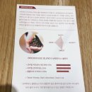 안국/인사동 카페 &lt;안녕 브릭샌드&gt; 휘낭시에 맛집 솔직후기 (포레스트브릭,헤이즈브릭)