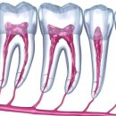 연세홈치과의원 이미지