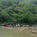 장승초등학교 이미지