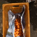 바끄레 민박 이미지