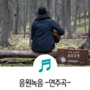 파파야스튜디오 네이버블로그