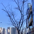 해드림부동산공인중개사무소 이미지