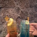 한라사료 이미지