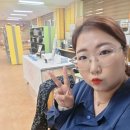 군산동초등학교 이미지