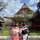 까마귀 게임장 | 3월 도쿄 자유 여행 엄마랑 - 2일차