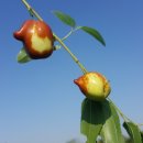 방자농장 이미지