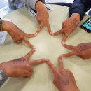 네이쳐스루트