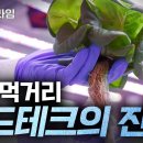 [YTN 사이언스] 다큐S프라임 미래의 먹거리 푸드테크의 진화 이미지