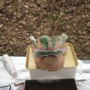 행복한머리 이미지