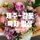 보담꽃집 이미지