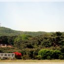 충무공탄신기념 궁도체험교실[덕수.장충초등학교]풍경1 이미지