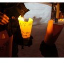 새바라기 이미지