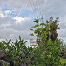 스테이빌레하임 이미지