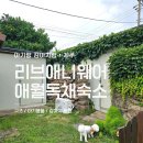 13월의 식탁 | 제주도 서쪽 강아지 동반 감성 숙소 아기랑 다녀온 후기 (할인공유)