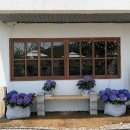 지내고탄로 이미지