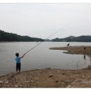밤숲유원지 네이버블로그