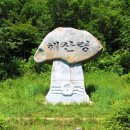 7월 29일 토요당일 - 화천 비수구미+파로호산소(O2)길 신청안내(28인승/31인승) 이미지