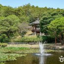 호반로(상아동,와룡면) 이미지