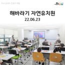 해바라기자연유치원 이미지