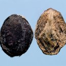 공명한의원 이미지