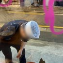 경희용뜸한의원 이미지