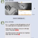 운정 숲 고양이호텔 이미지