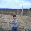 가나안농장1 이미지