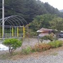 가평물골숲계곡캠핑장 이미지