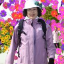 SK BROADBAND 개방화장실 | 인천 서구 SK 석유화학 벚꽃 동산에서 꽃놀이 후기