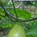 옥주농장 이미지