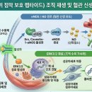 실험실 밖으로 나와 선수의 건강을 해치는 'S0 비승인약물' 이미지