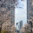 단지내코오롱공인중개사사무소 이미지