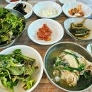 기장 장안사근처맛집 만수장가든 한방백숙 후기