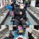 용산행복장애인자립생활센터 Daum카페