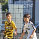 백호축구클럽&풋살파크