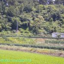 덕산양계 이미지