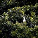 고래실길 이미지