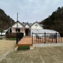 더 화이트벨리 이미지