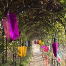 식물원 화장실 | 창원 진해 보타닉뮤지엄 식물원 카페 후기