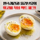 반숙 계란과 올리브오일의 조합이 진짜 위고비랑 비슷할까?