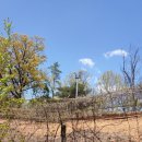 대궐고개 약수터 이미지