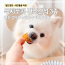 아토맘 수제간식 | 인천 강아지 수제간식 추천｜푸치푸치 강아지 건조 간식 3종 후기