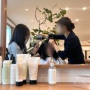 세븐일레븐 가능공원점 | 강동미용실 올림픽파크포레온미용실, 차홍룸올림픽공원점 (ft.단골후기)