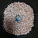 땅콩상회 | 수원상회 서리태 생땅콩 후기