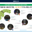 크루즈시티
