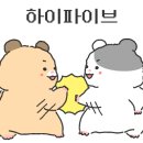 라벨르(Labelle) - 달서구 | 라벨르(Labelle)