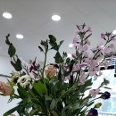 아로플라워디자인학원 네이버블로그